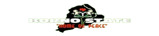 Borno Report